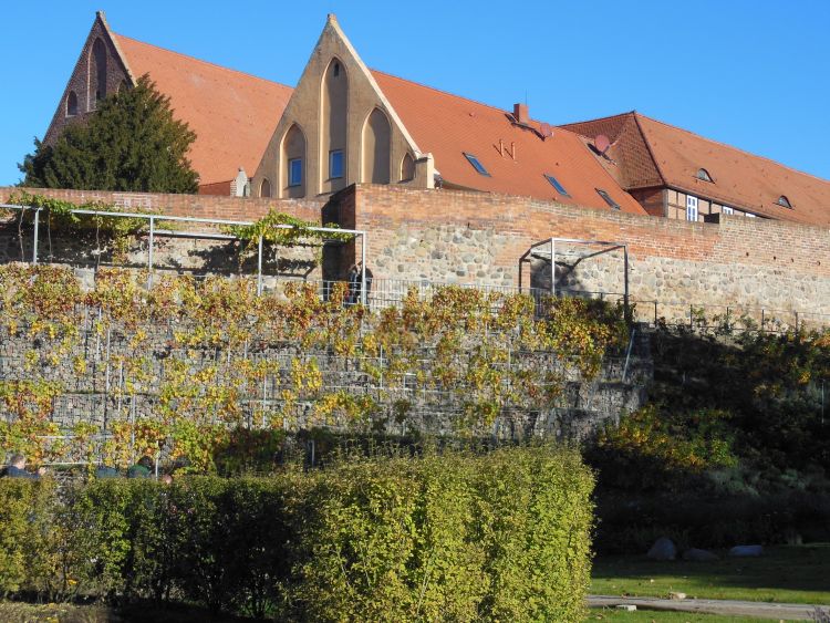 landesgartenschau gelände - Article 2